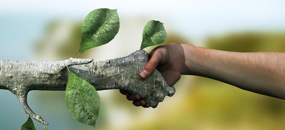 eco inerti srl